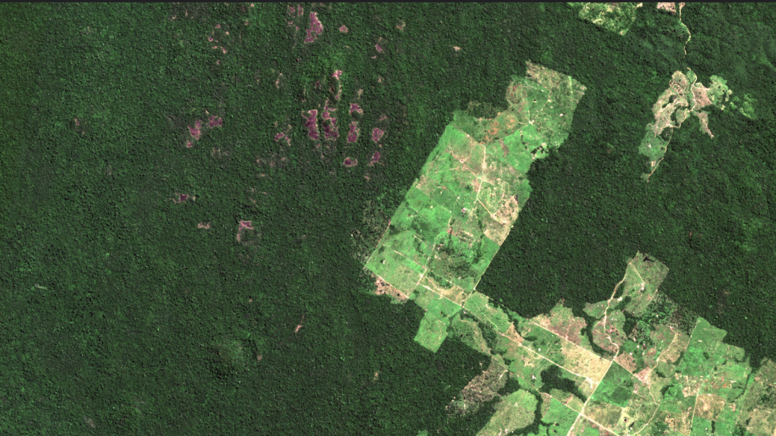 An aerial view of a broad swathe of deforested land surrounded by dark rainforest.