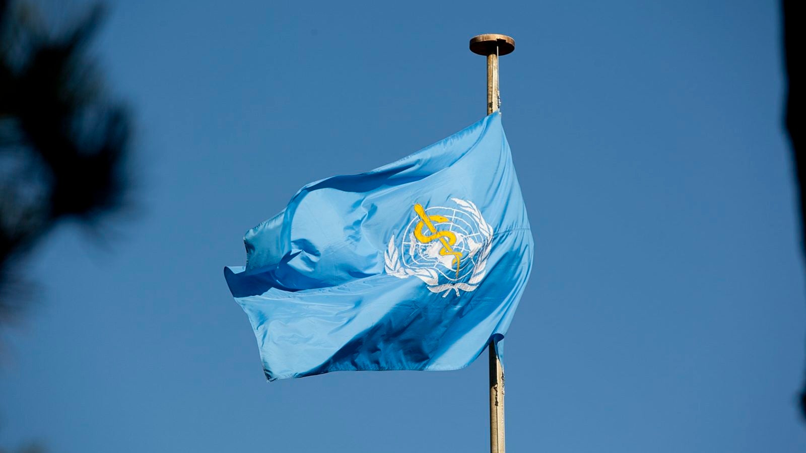 The flag of the World Health Organization (WHO) flutters on a flagpole.