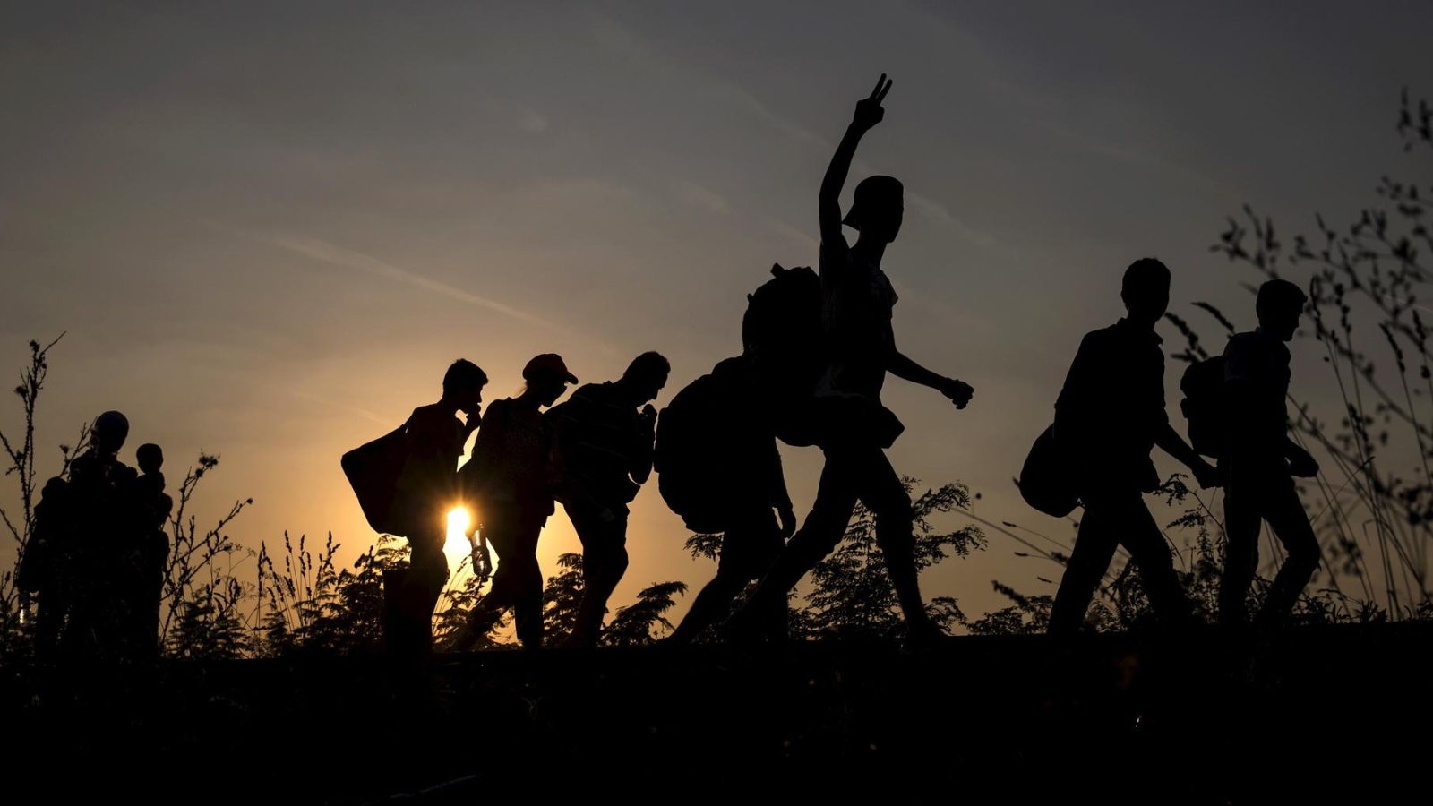 migrants crossing the border to Hungary