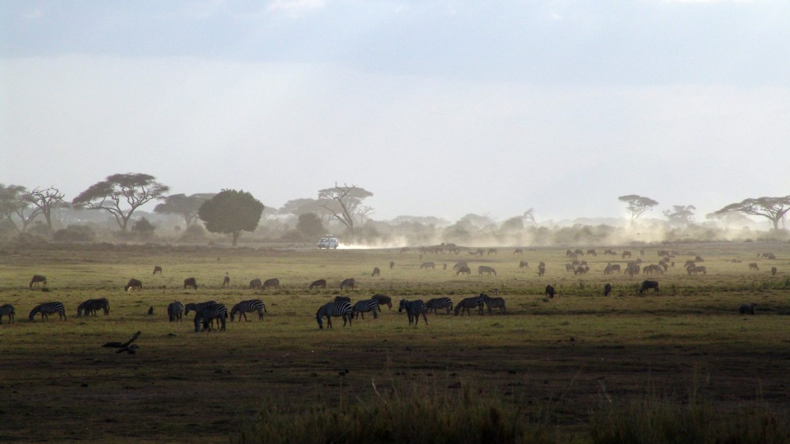 Kenya Environment