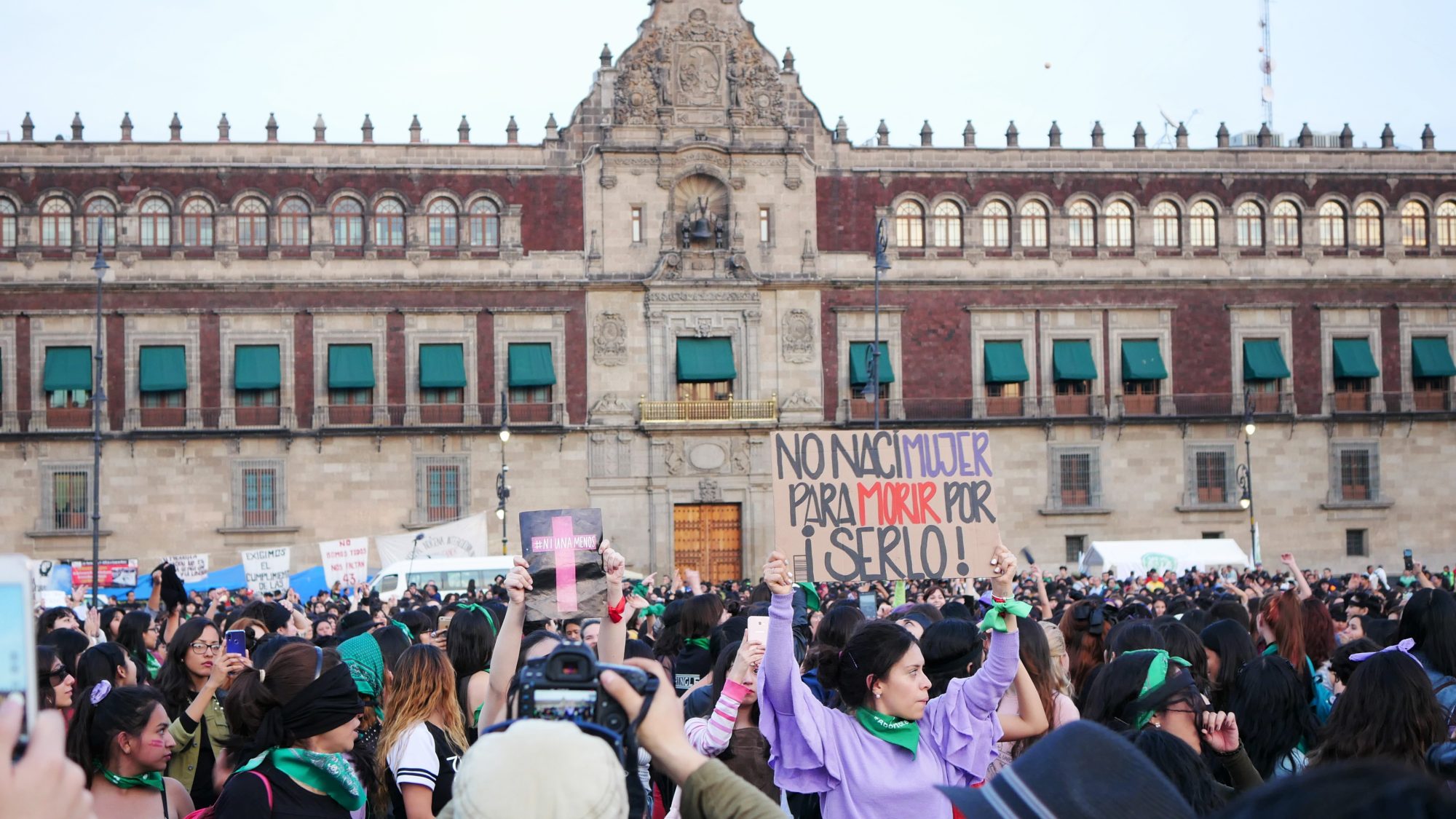 Femicide Protest Zocalo- sign