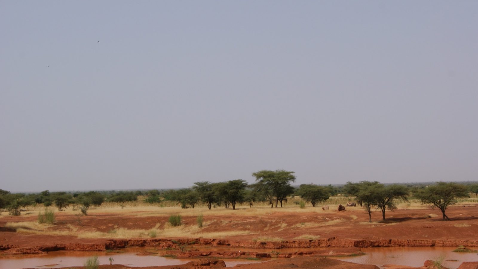 Landscape of the Sahel