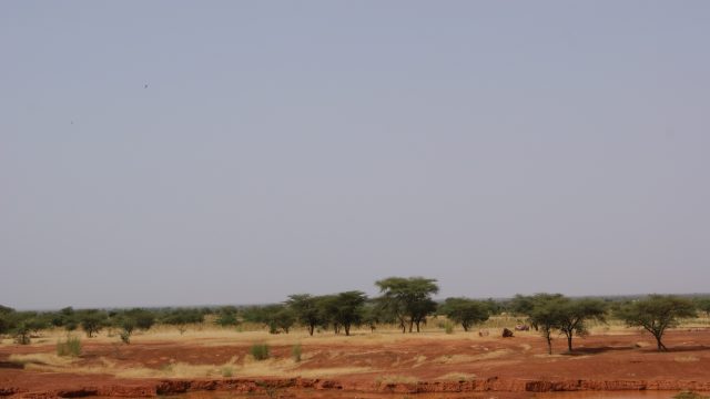 Landscape of the Sahel