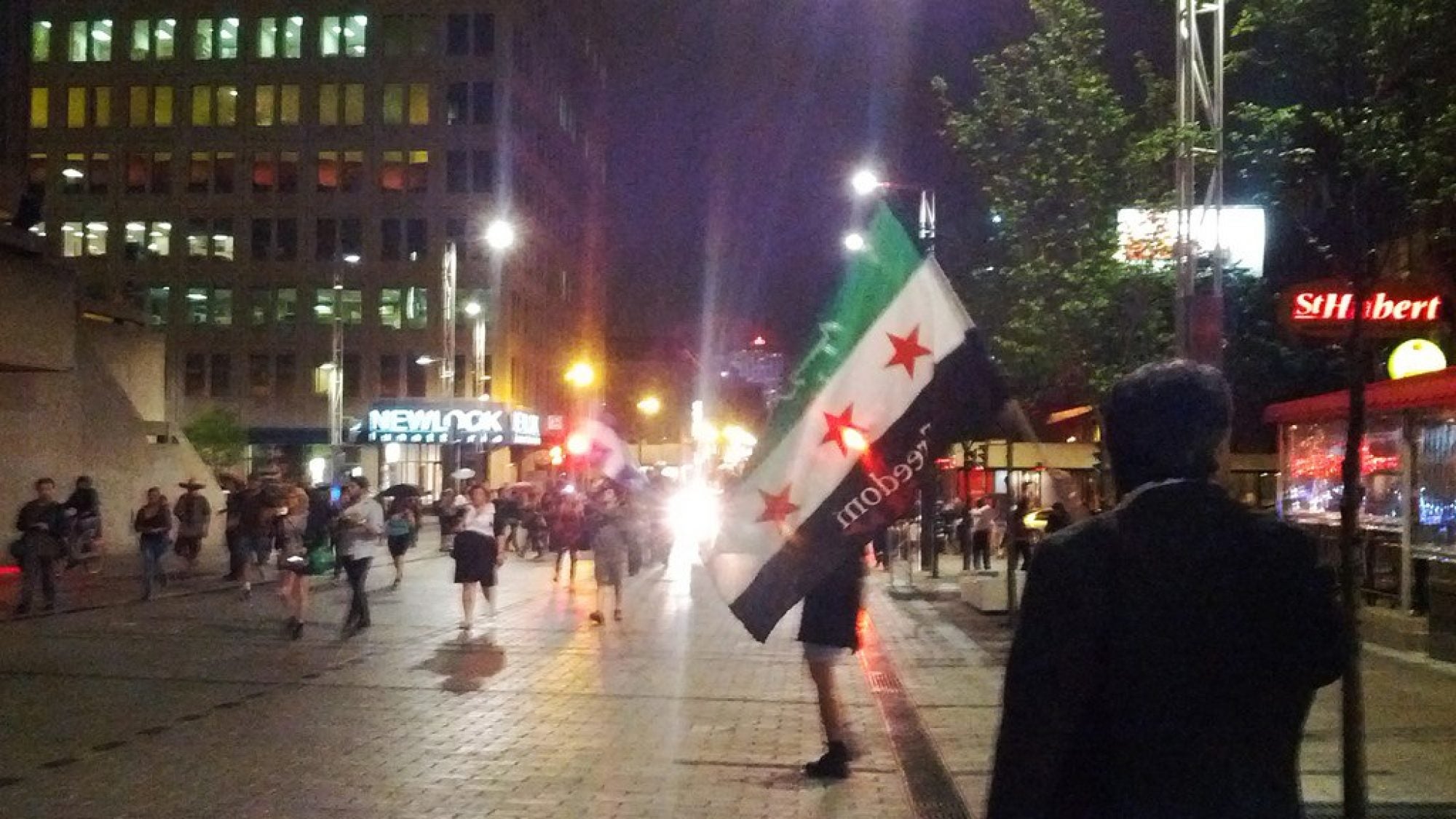 Protestor carrying Syrian flag with &quot;Freedom&quot; written.