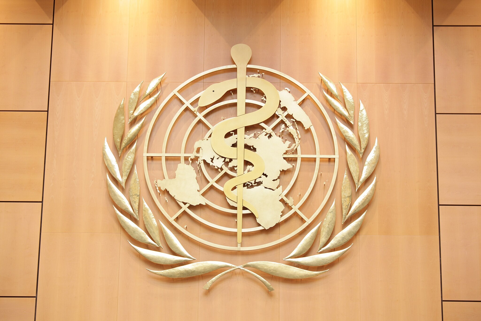 The New WHO Pandemic Treaty and Global Health Governance: Incorporating Common but Differentiated Responsibilities into PABS 