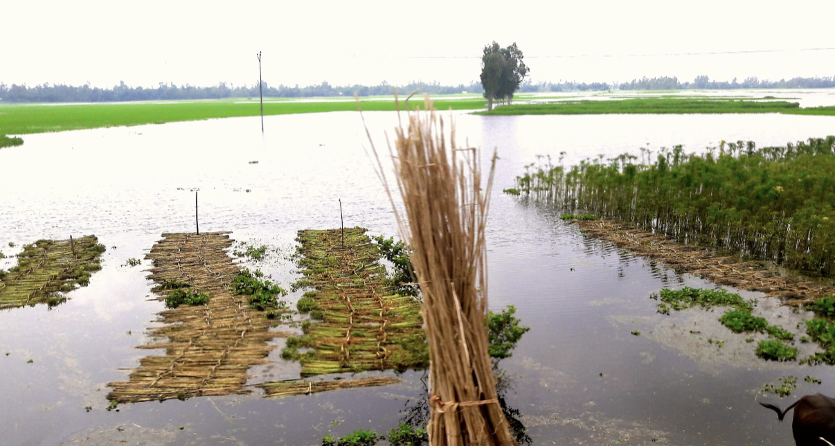 A rice field filled with water.