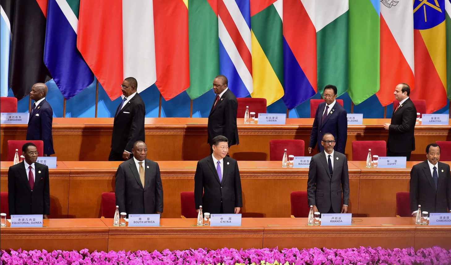 Xi Jinping and African country leaders stand behind rows of chairs, with country flags in the background.