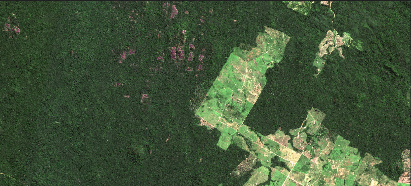 An aerial view of a broad swathe of deforested land surrounded by dark rainforest.