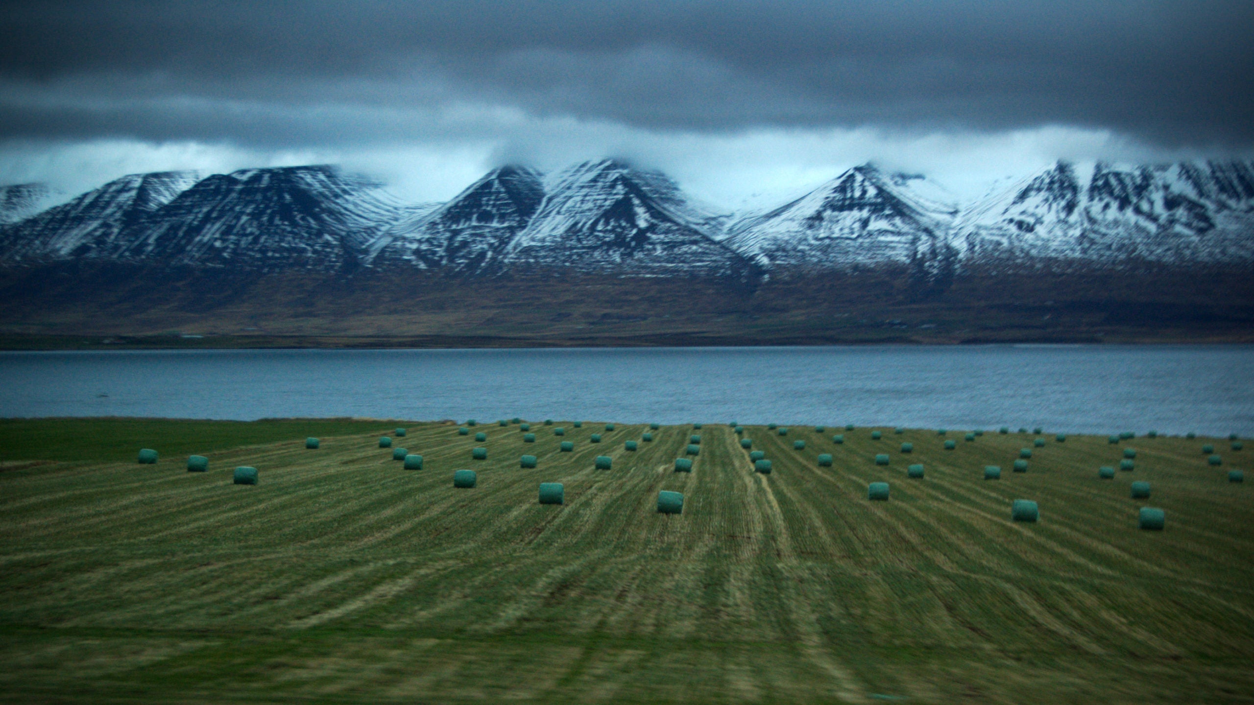Icelandic landscape