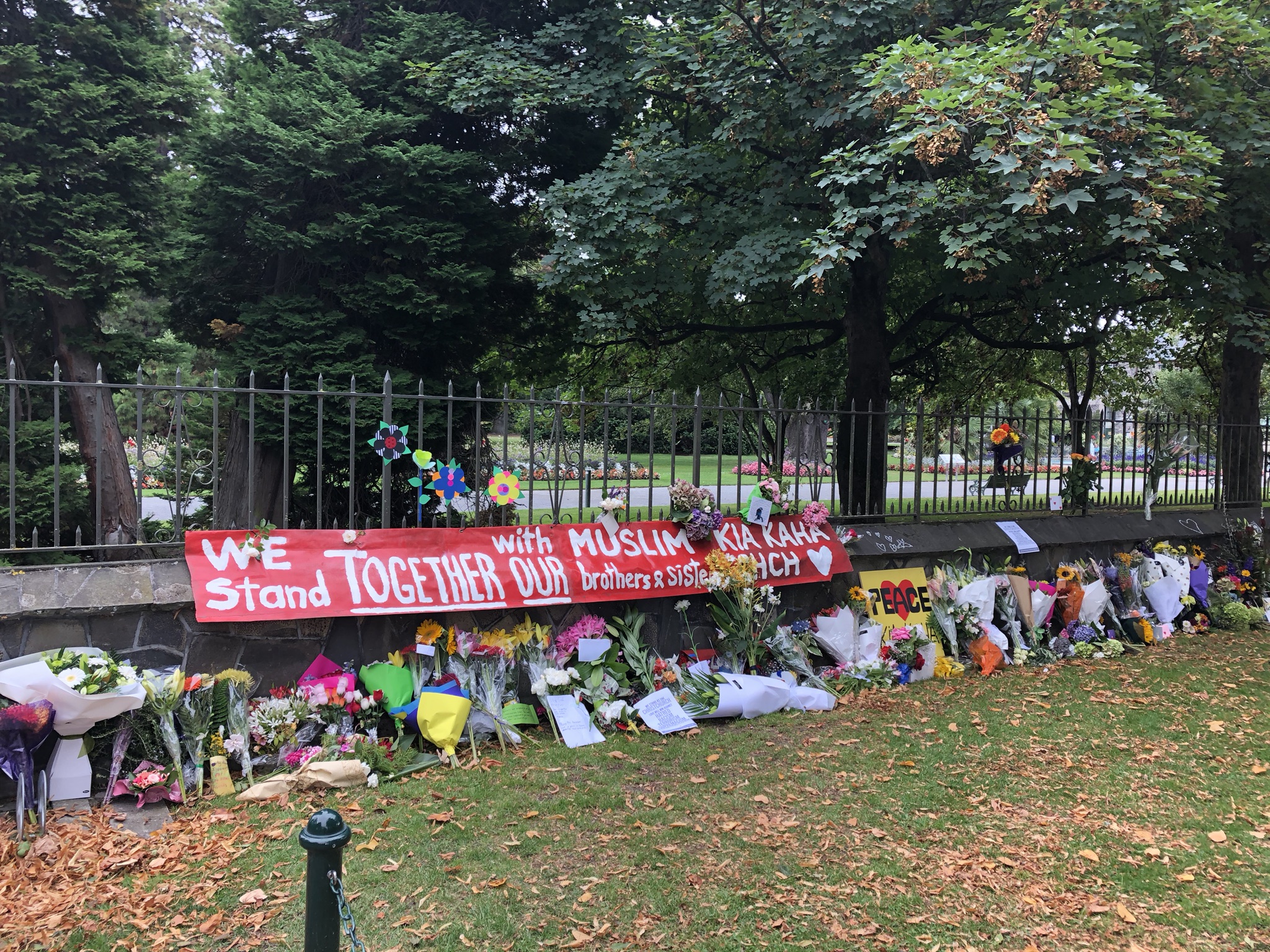flowers against a fence