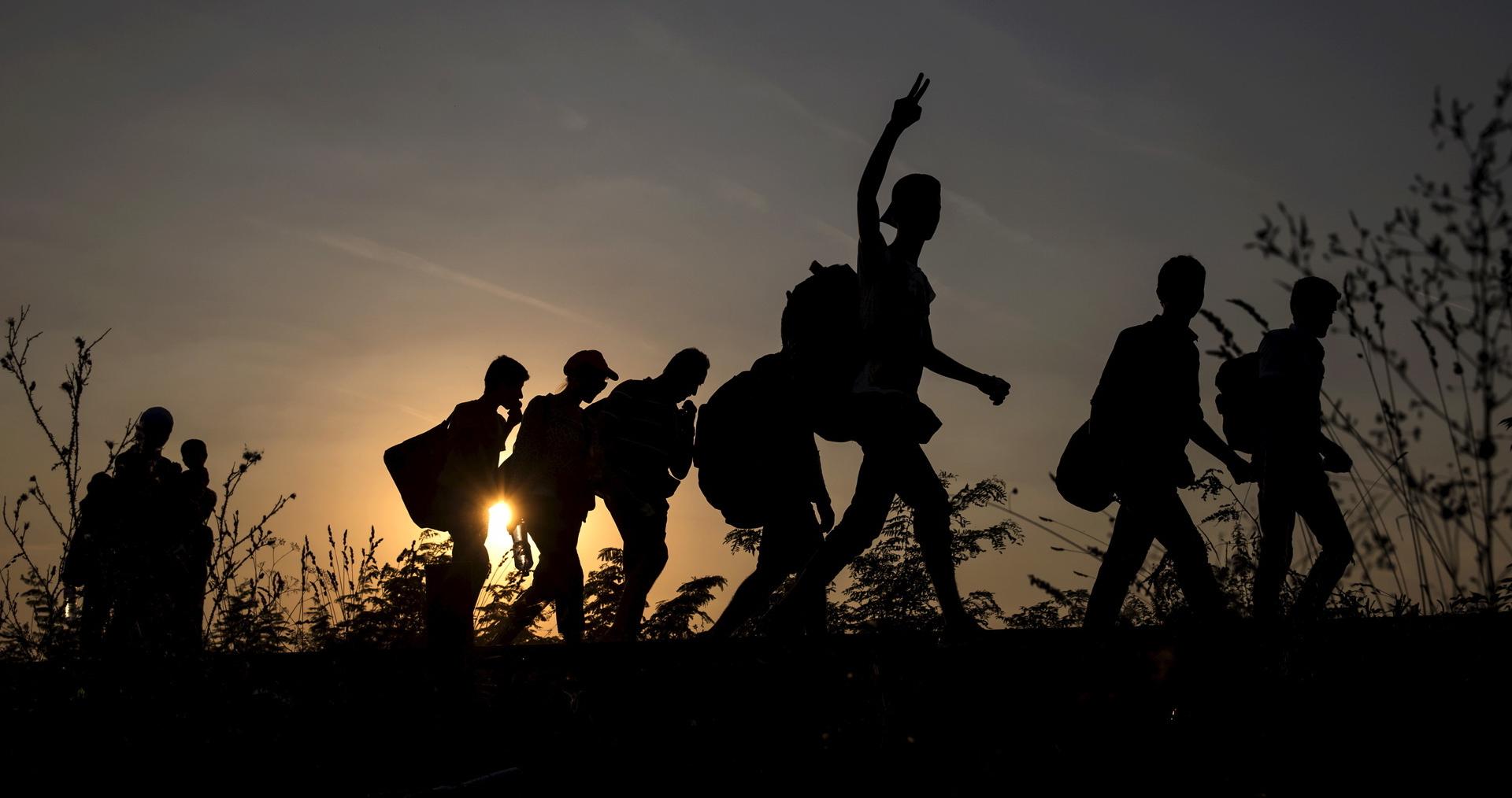migrants crossing the border to Hungary