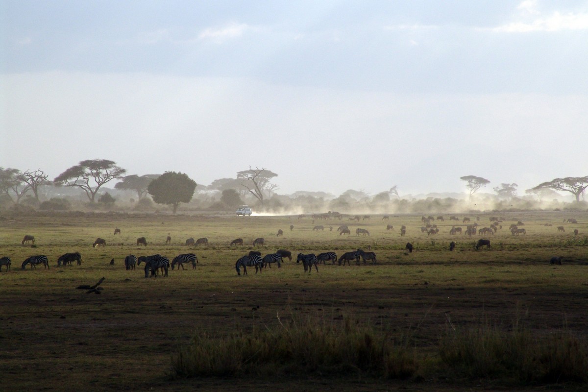 Kenya Environment