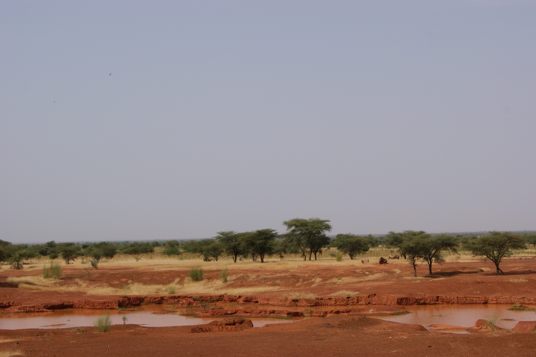 Landscape of the Sahel