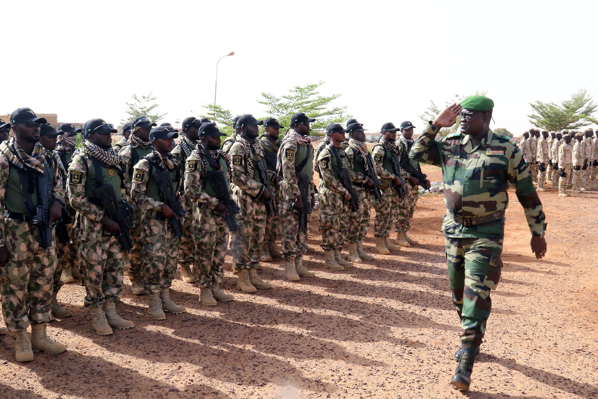 Soliders saluting commander (Niger 2018)